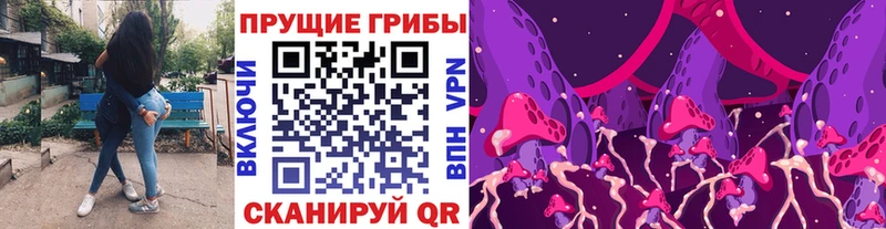 как найти закладки  Кирс  Псилоцибиновые грибы мицелий 